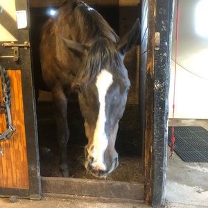 Meet your Posher, Abby